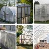 Clear Greenhouse Film Plastic Sheeting Winter Hoop House Covering Freeze Protection Cover for Greenhouse Plants Windproof Frost Dust Proof