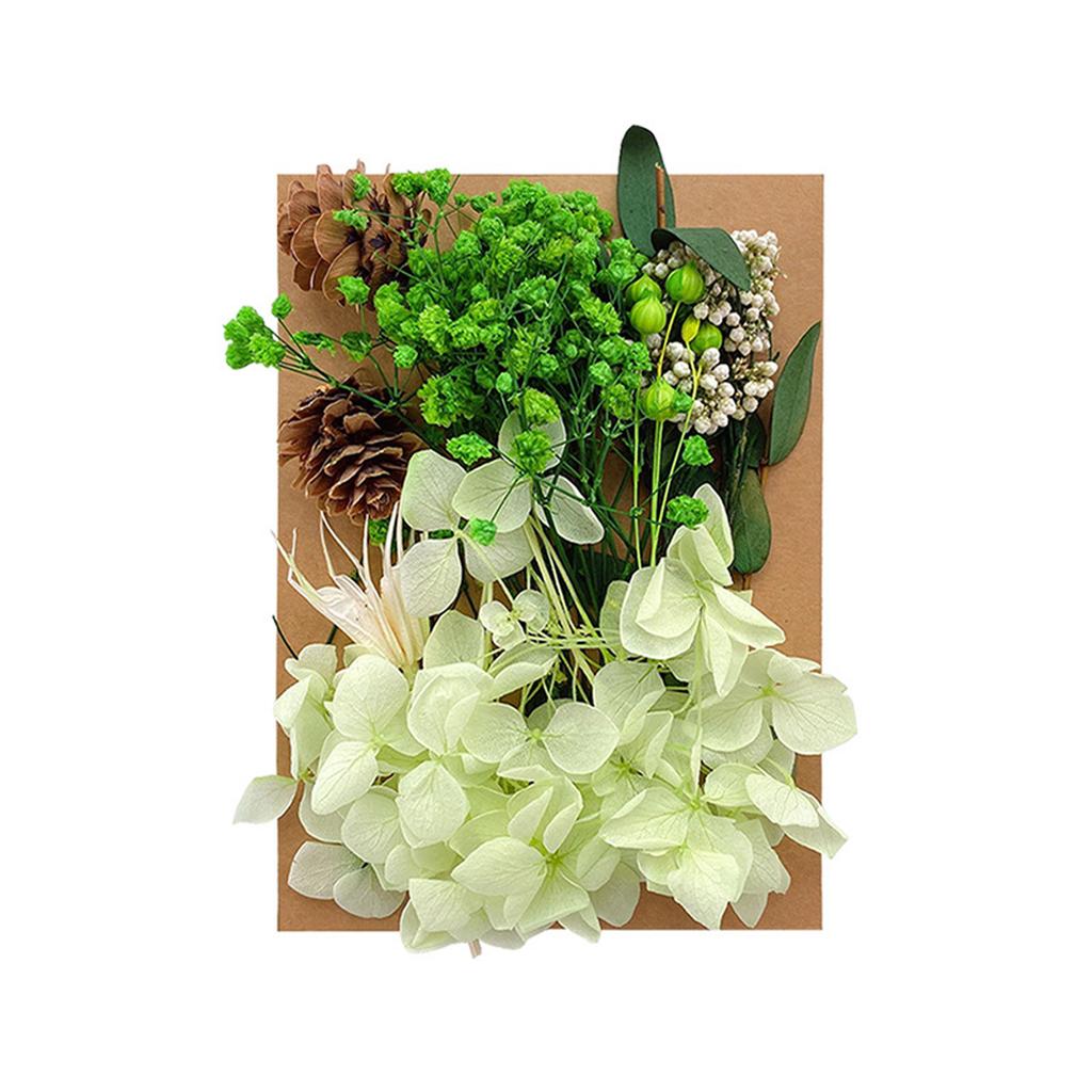 1 Bag Dried Flowers Pressed Dry Flower For DIY Phone Case Epoxy Resin Filling Pendant Jewelry Making Crafts Nail Art Decor