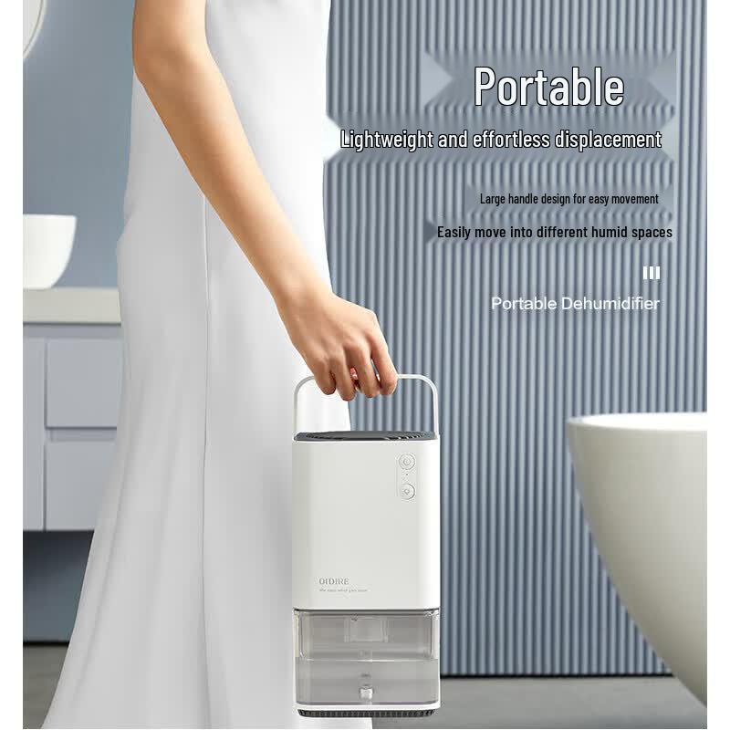 OIDIRE Portable Dehumidifier CN Plug (adapter Included)