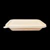 Compostable Rectangular Takeout Containers with Lids