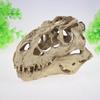 Dinosaur Skull Reptile Box: Creative Resin Display Ornament for Living Room or Bar
