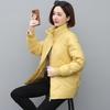 2024 New Winter Women Down Cotton Jacket Warm Loose Fit Fashion Coat Slimming Moms Outerwear