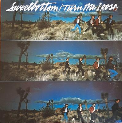 Disque vinyle SWEET BOTTOM Turn Me Loose 6E210 Elektra 1979 Rock US Occasion