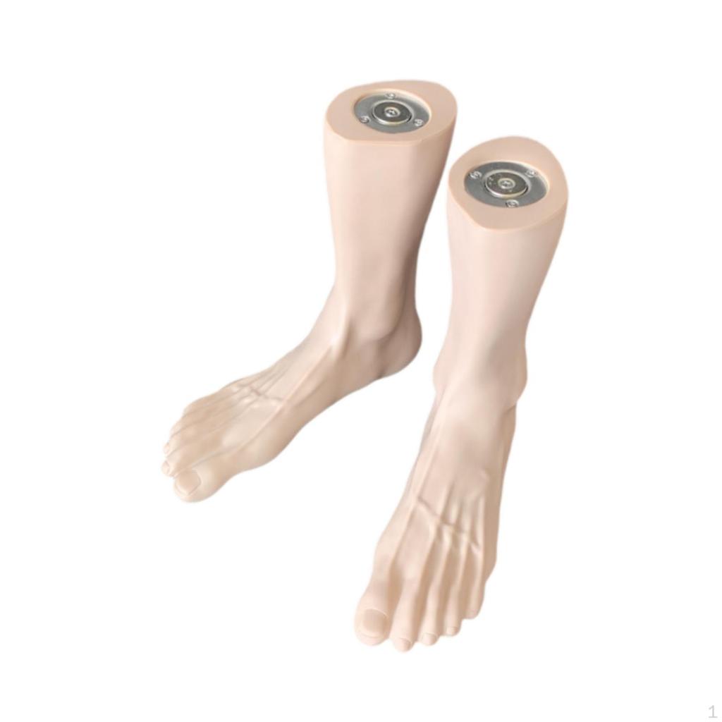 2 Pieces Mannequin Feet Model Male Foot Display Sock Creative PVC