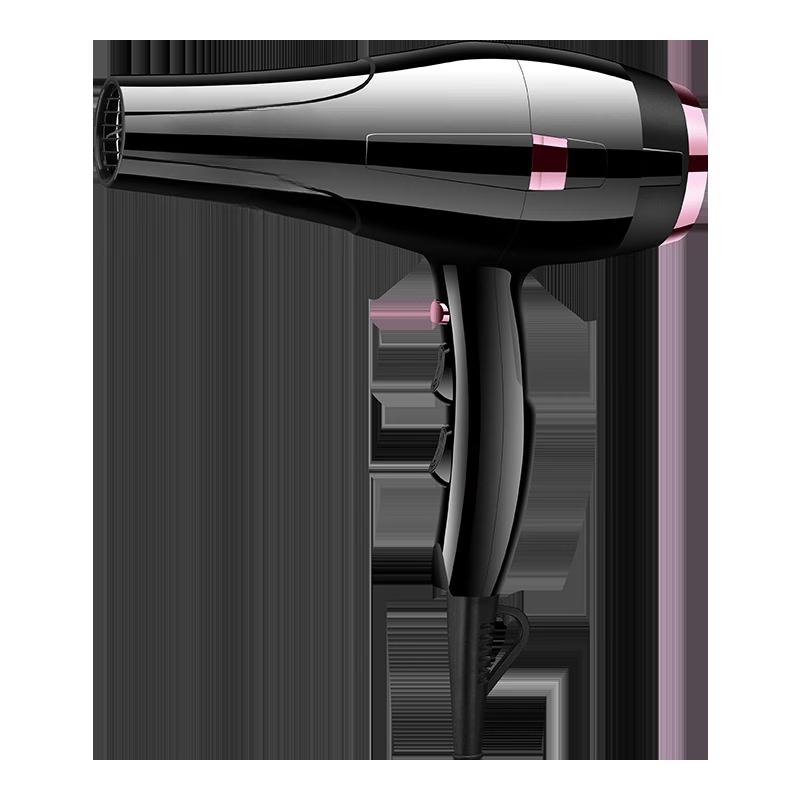 LISM Professional Hair Dryer