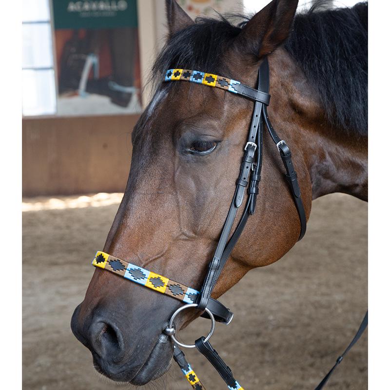 European and American Fashion Leather Horse Snaffle Bridle with Metal Lead Rope 8218119 Equestrian Equipment. nero