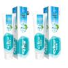 Nai Si Natural Salt Whitening Toothpaste
