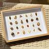 Creative 24-Grid 3D Seed Specimen Photo Frame - Handmade Tabletop Decorative Plant Art Ornament