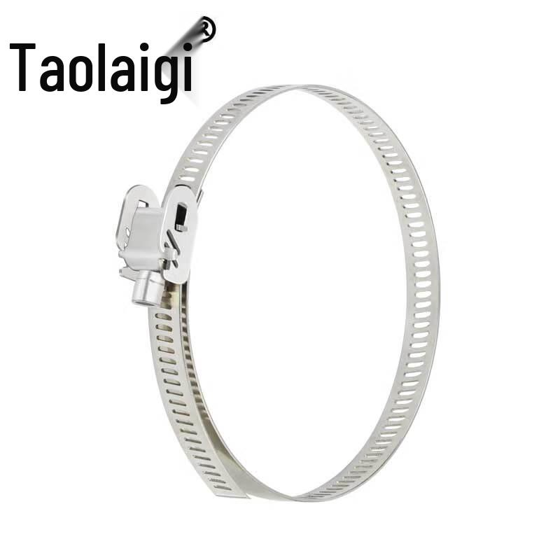 Taolaiji 304 Stainless Steel Clamp Tie 12.7*800mm