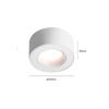 Oeny Surface Mounted LED Downlight