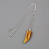 Tiger Eye Fang Lucky Charm Necklace for Men [COAI] Wolf's