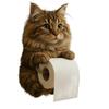 Creative Resin Cat Toilet Paper Holder Wall Mounted Tissue Roll Dispenser Decorative Bathroom Accessory Functional and Durable Design