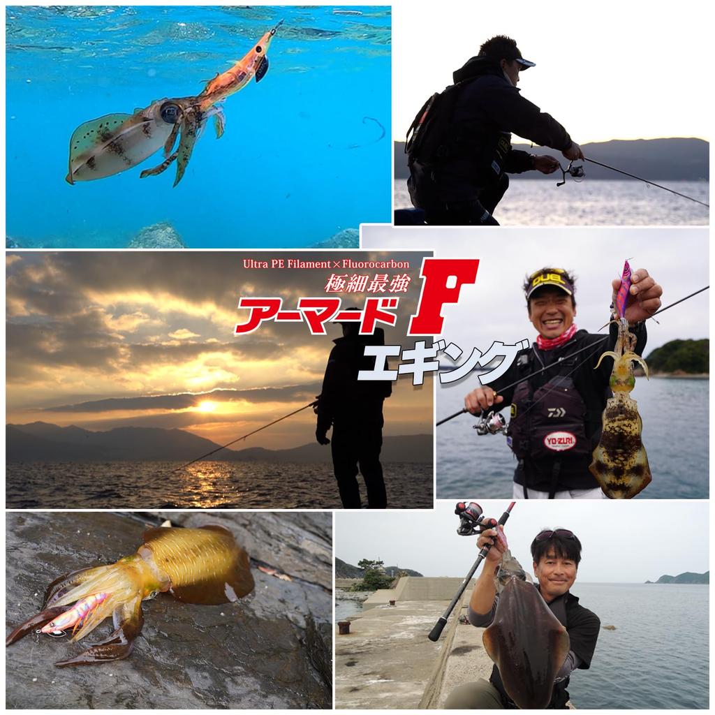 DUEL PE Line No. 0.8 Armored F Eging 150M No.