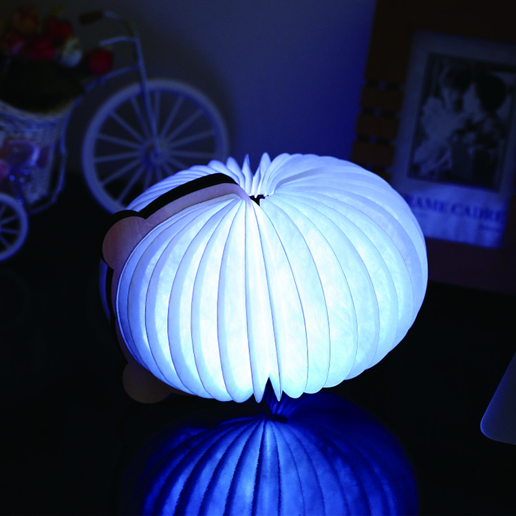 New Product 2021 Creative 3D Kids Projector USB Led Night Light Cartoon Portable Animal Book