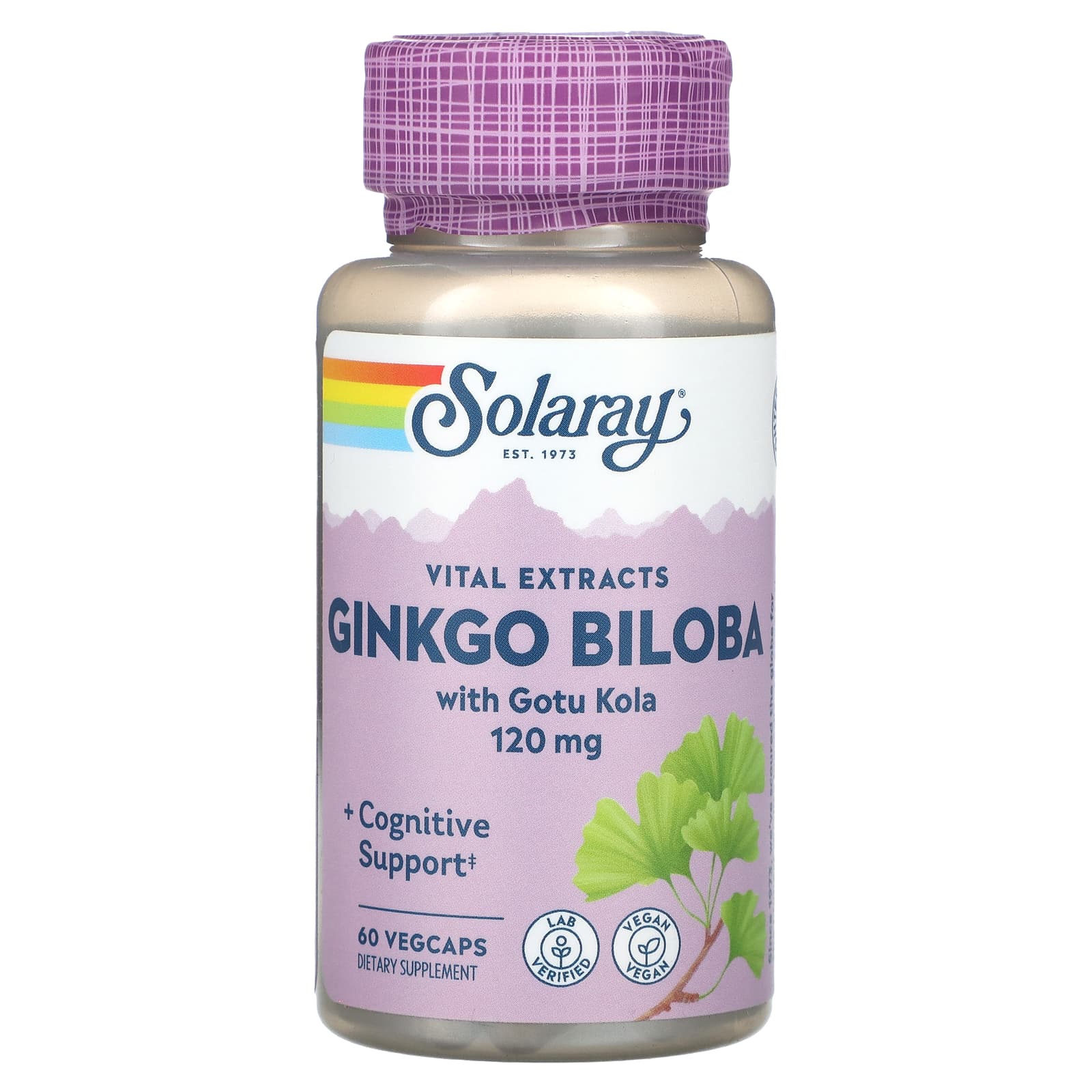 

Ginkgo Biloba with Vital Extract, Gotu Kola, 60 Veggie Caps