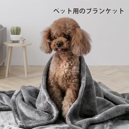 Cute Lap Blanket for Spring and Summer - Soft, Breathable, Washable Microfiber Blanket - Anti-Static, Suitable for All Seasons, Flannel, Gray, 70x100c