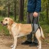 Ham de Ridicare Reglabil pentru Câini Detașabil Confortabil Suport pentru Picioarele din Spate ale Animalului de Companie Mâner Anti-alunecare Curele de Suport pentru Picioarele din Spate Veterinar