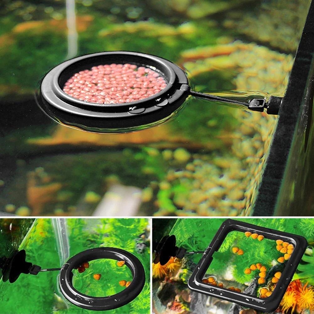 10*10cm Fish Food Feeder Suction Cup Aquarium Feeding Ring Fish Tank Station Floating Food Tray Feeder Square Circle Accessory