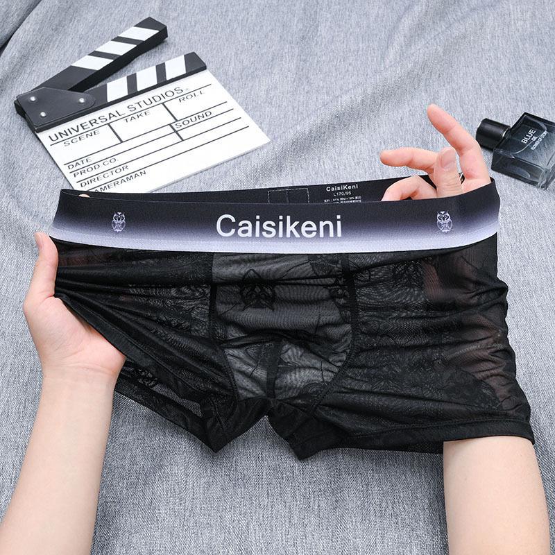 Men's 2025 Ice Silk Mesh Boxer Briefs - Transparent, Sexy, Thin Underwear