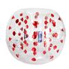 Transparent Inflatable Bumper Ball for Outdoor Fun