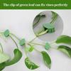 10Pcs Invisible Plant Plant Vine Traction Holder Acrylic Sticker Grafting Clip  Garden