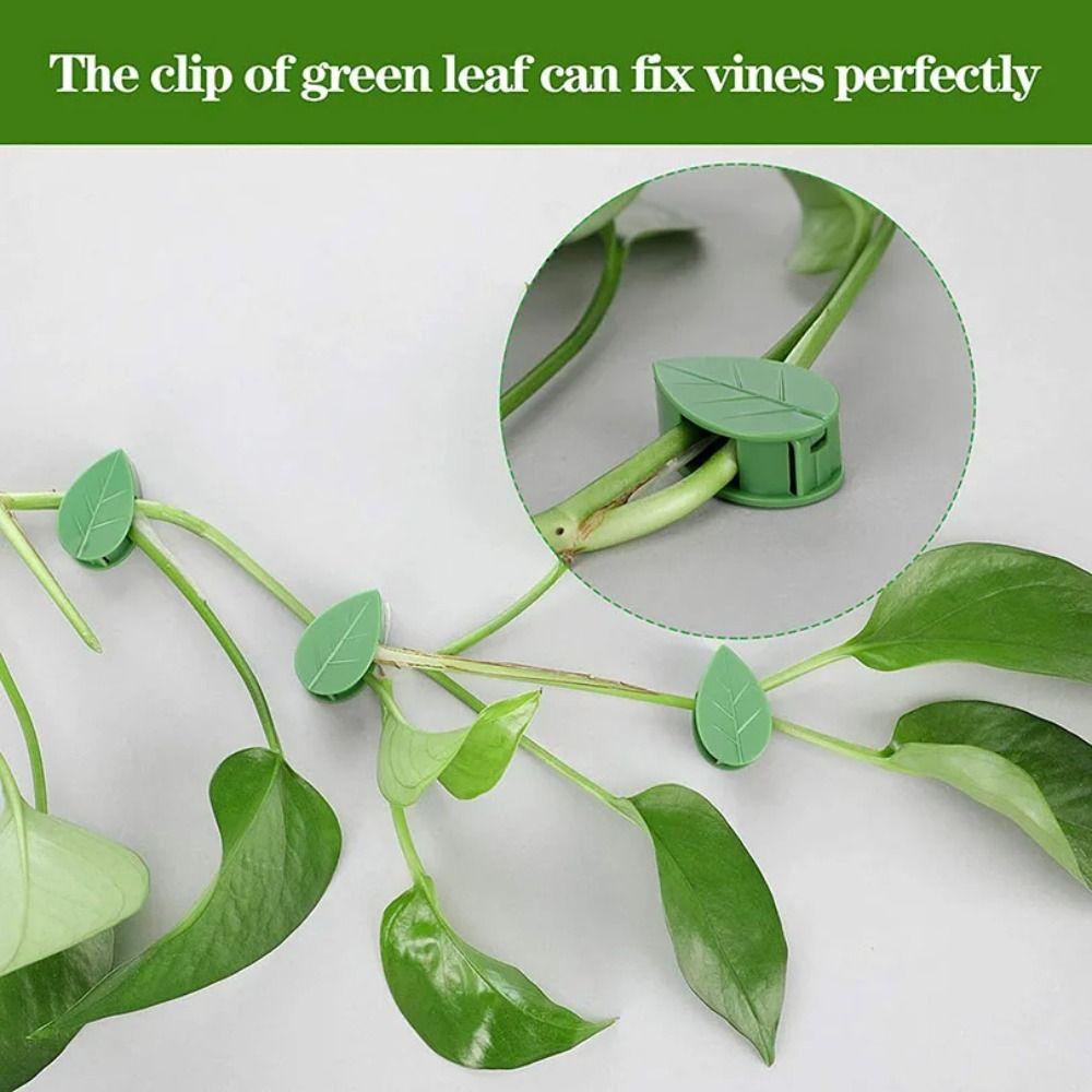 10Pcs Invisible Plant Plant Vine Traction Holder Acrylic Sticker Grafting Clip  Garden