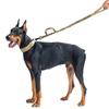 Tactical Military Dog Collar Leash Adjustable Nylon Leash for Medium Large Dogs Heavy Duty Dog Leash with Shock Absorption