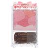 CANMAKE Glow Fleur Wangen