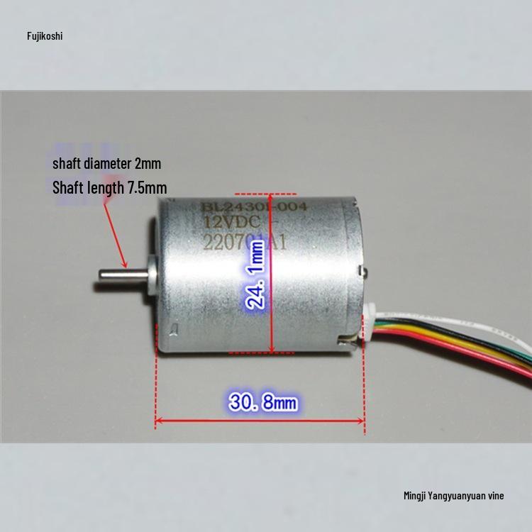 B2430/370 12V Silent Brushless Motor with Built-in Driver for Air and Water Pumps