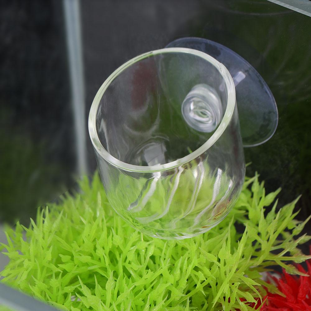 Hrănitor Mușchi Animal Decor Acvariu Recipient Plantă Mini Vază Grădinărit Vază Transparentă Raft Hrănă Cupă Acrilică Cupă Apă Iarbă