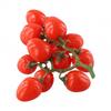 High quality Artificial Tomato Red & Yellow Fake House Kitchen Decoration