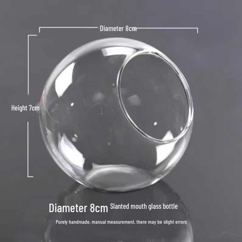 Transparent Slanted Glass Vase for Succulents and Hydroponic Flowers