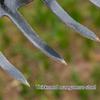 Yousheng 2-in-1 Weeding Rake Garden Hoe And Rake Heavy Duty Hand Weeder Gardening Hoe for Weeding Soil Loosening Landscaping