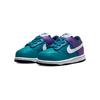 Nike Dunk Low Skate Shoes Baby Sneakers Purple Green DH9761-300
