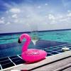 Porte boisson gonflable - NPW - Flamant rose - Vinyle - Extérieur - Adulte