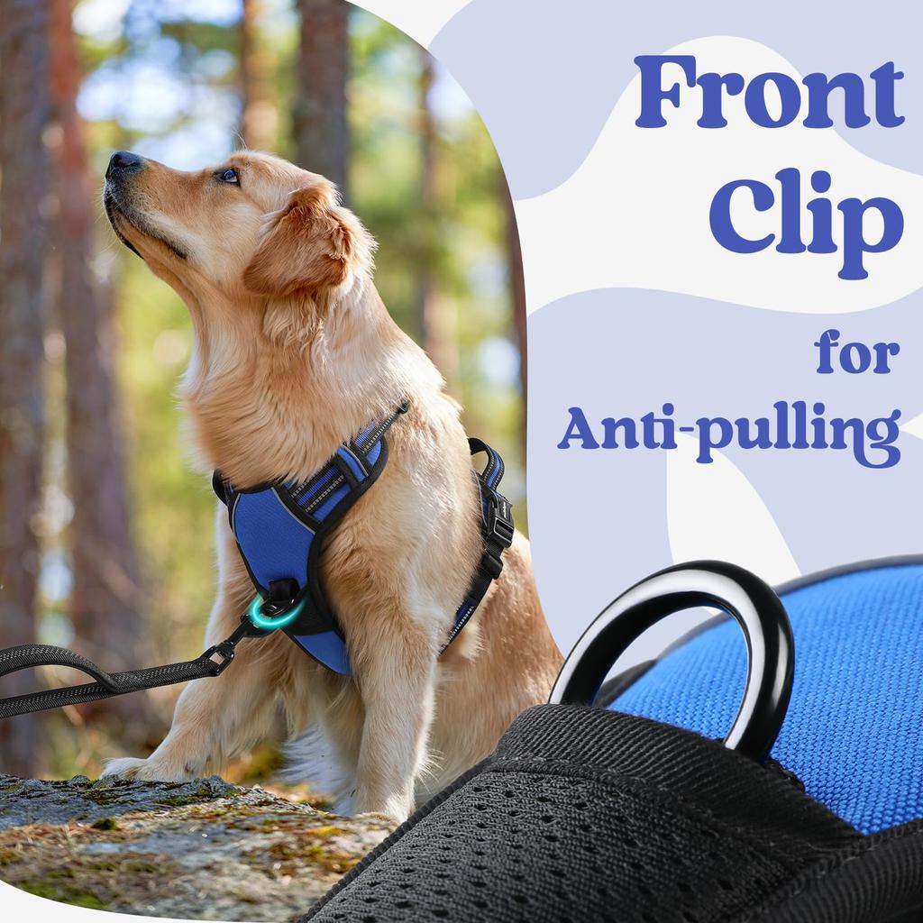 Model Dog rabbitgoo Dog Harness for Dogs Adjustable No Head Reflective Material for Nighttime Secure Cough Walking Senior Dog Care Easy to Put On and
