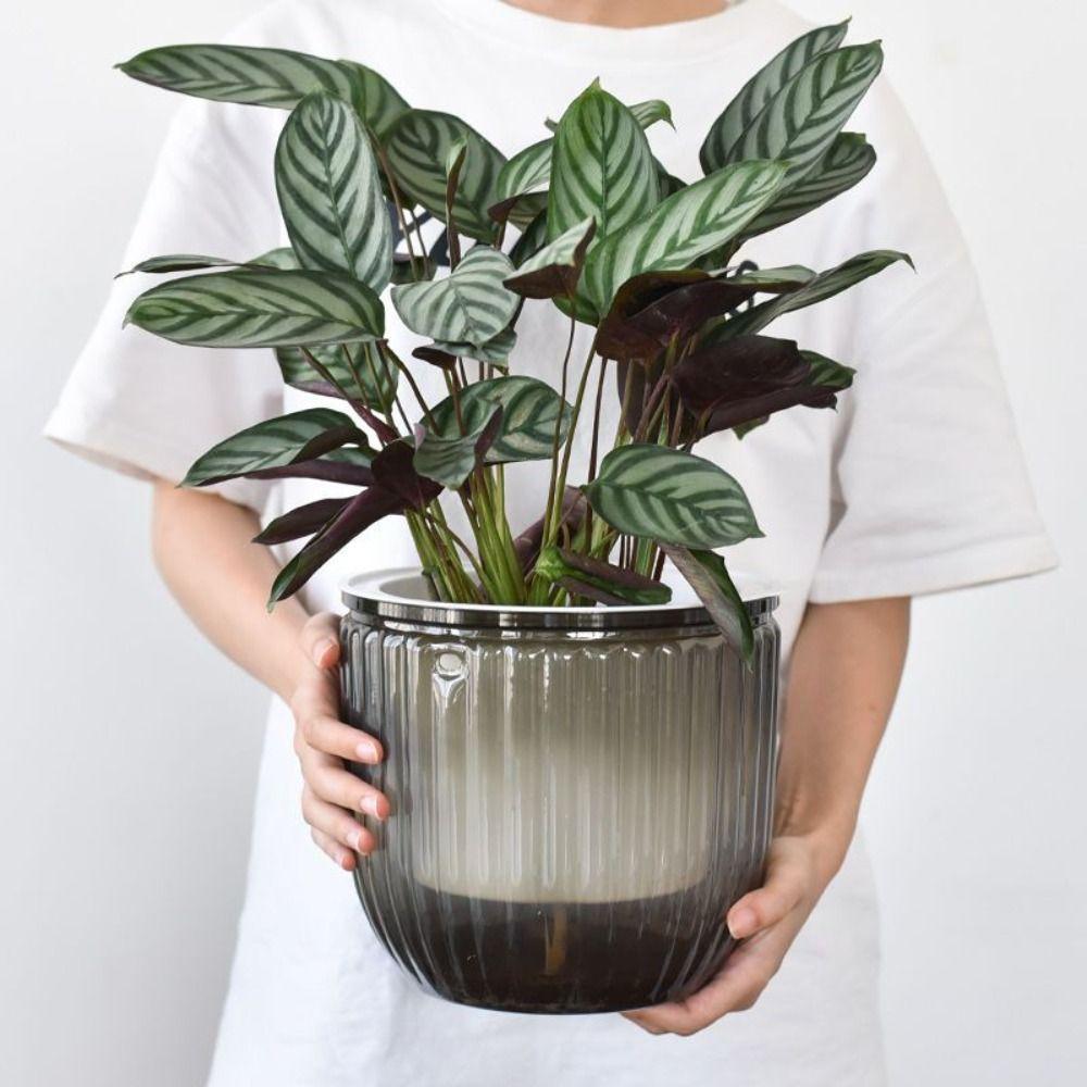 Hanging Basket Vase Plants Pot Hanging Pot Transparent Flower Pot  Orchid