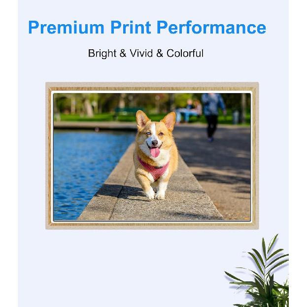 910XL Compatible Ink Cartridge for 910 XL Compatible with HP OfficeJet Pro 8020 8025 8028 8035 8030 8015 8010 8018 8022 Printer (2 Black,1 Cyan,1