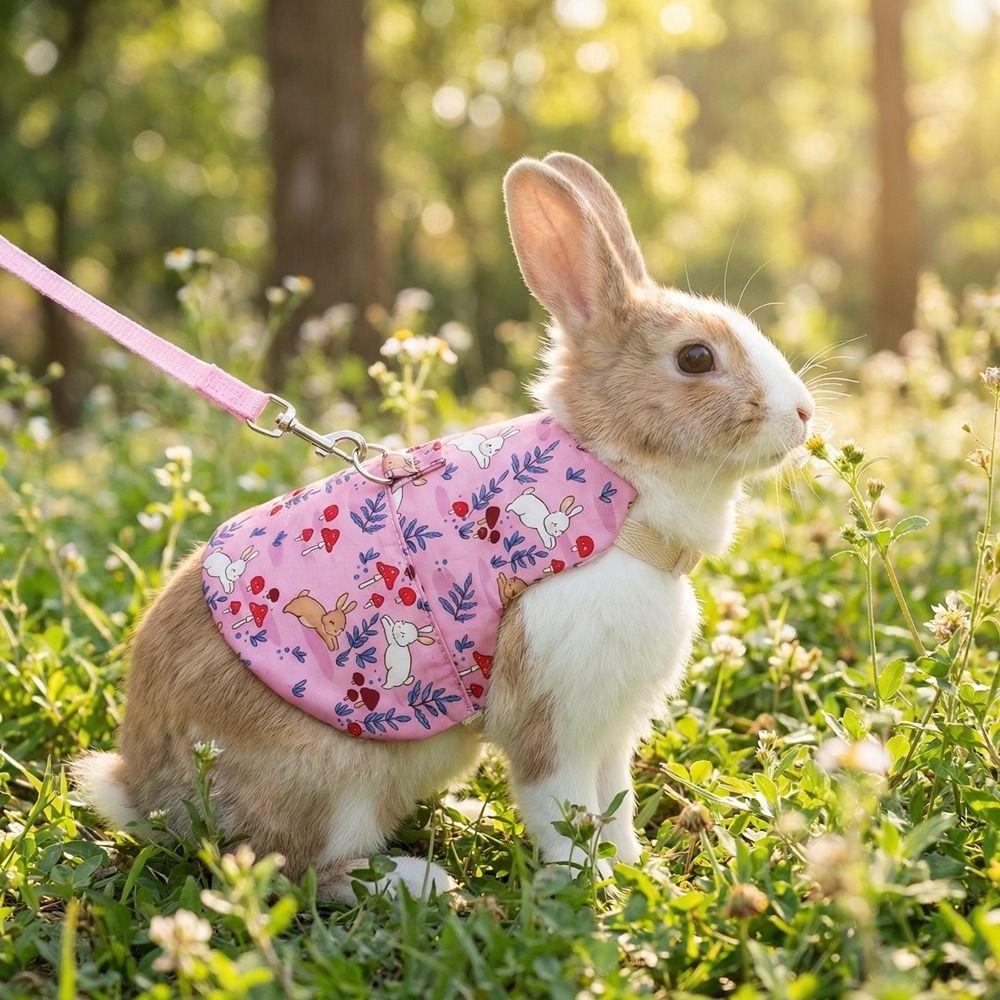 Breathable Guinea Pigs Vest Adjustable Rabbit Leash Set Practical Walking Harness  Training