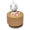 Falado Mini Wooden Animal Rotary Music Box with Cute Rabbit Ornament You Are My White and RR001 (Tune Sunshine), Beige,