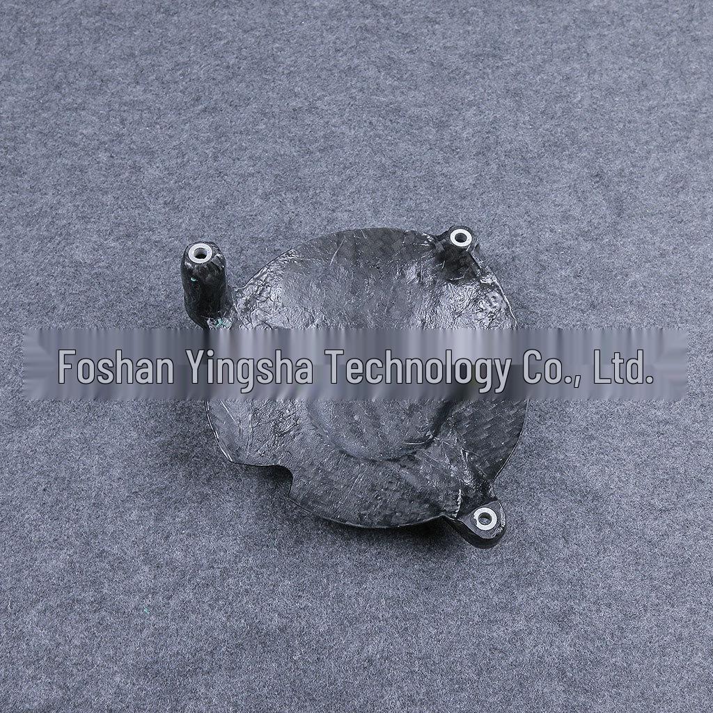 2015-2018 BMW S1000RR Carbon Fiber Engine Cover