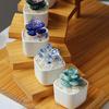 Glazed Succulents Potted Plants, Mini Maintenance-Free Artificial Succulents with Glass Texture, Glass Succulents Planter for Desk Office Decor Gift