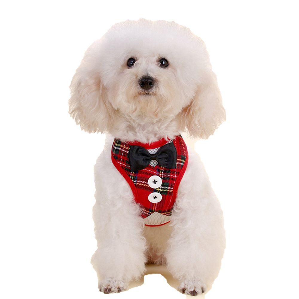 Belt for Small Medium Dogs Chest Strap Pet Vest Cat Evening  Dress Dog Leads Puppy Harness  Leash