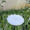 C Pliaor Waterin Station Bee Butterfly Drinker