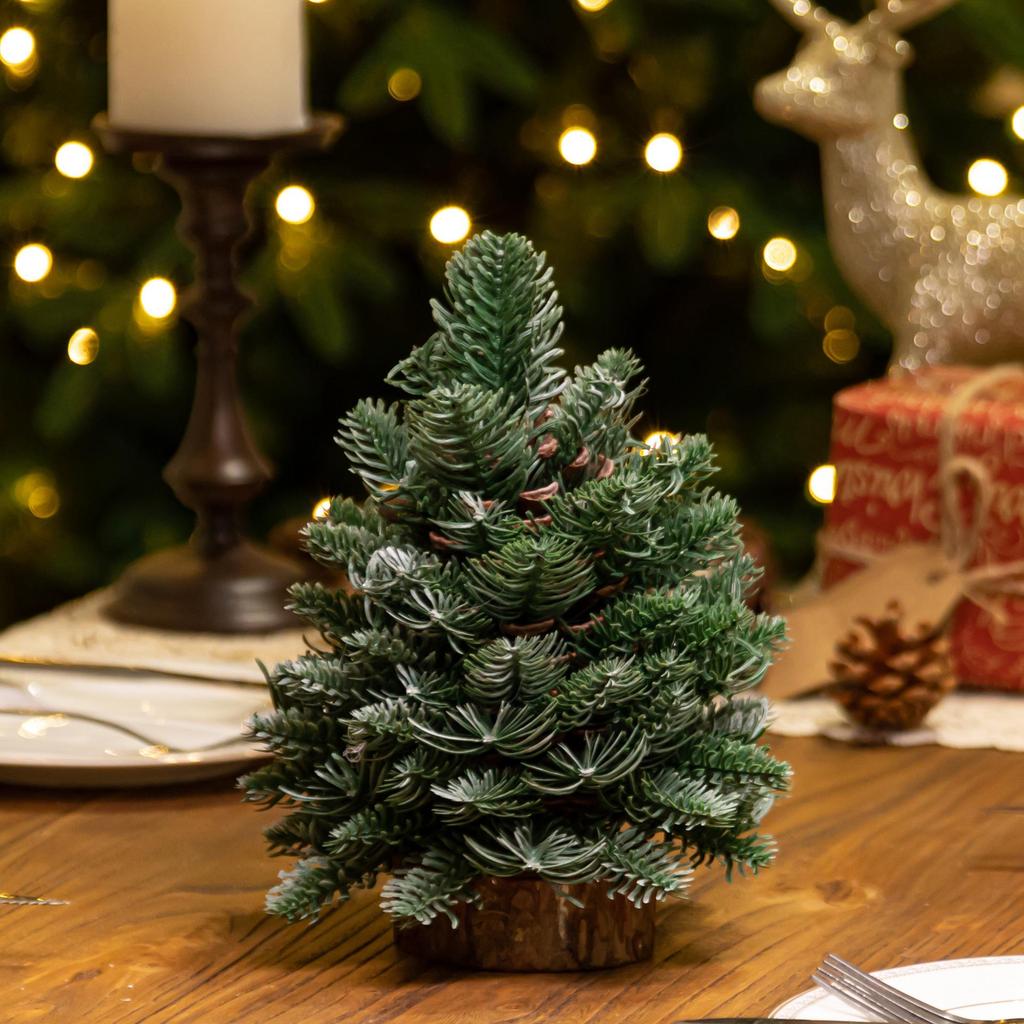 Vánoční dekorace na jídelní stůl z mini borovice severské