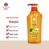 Fenghua Ingwer Haarwuchs Shampoo