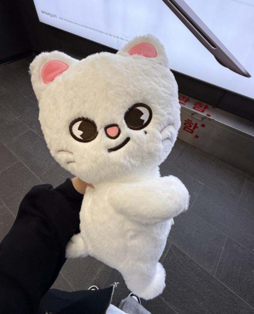 26cm new Straykids Felix Bang Chan Mini Backpack Plush Backpack Student Crossbody Bag