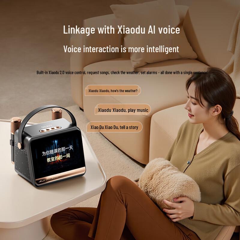 Soaiy GC520Pro KTV Karaoke Microphone Speaker