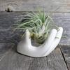 3Pcs Air Plant Holder Ceramics Airplants Plant Tillandsia Pots Hand Small Container Office Desk Decorations top sale
