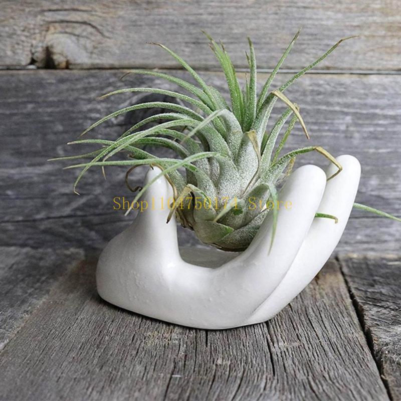3Pcs Air Plant Holder Ceramics Airplants Plant Tillandsia Pots Hand Small Container Office Desk Decorations top sale